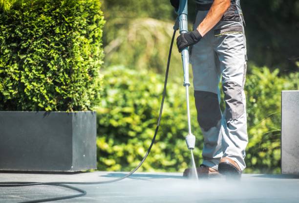 Animal Enclosure Cleaning in Calexico, CA